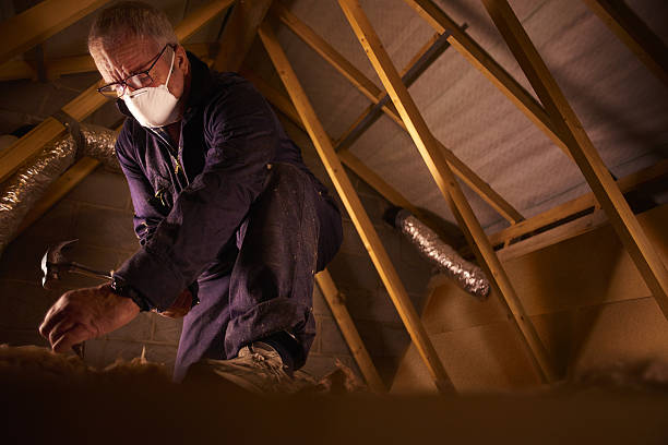 Types of Insulation We Offer in Prospect, OH